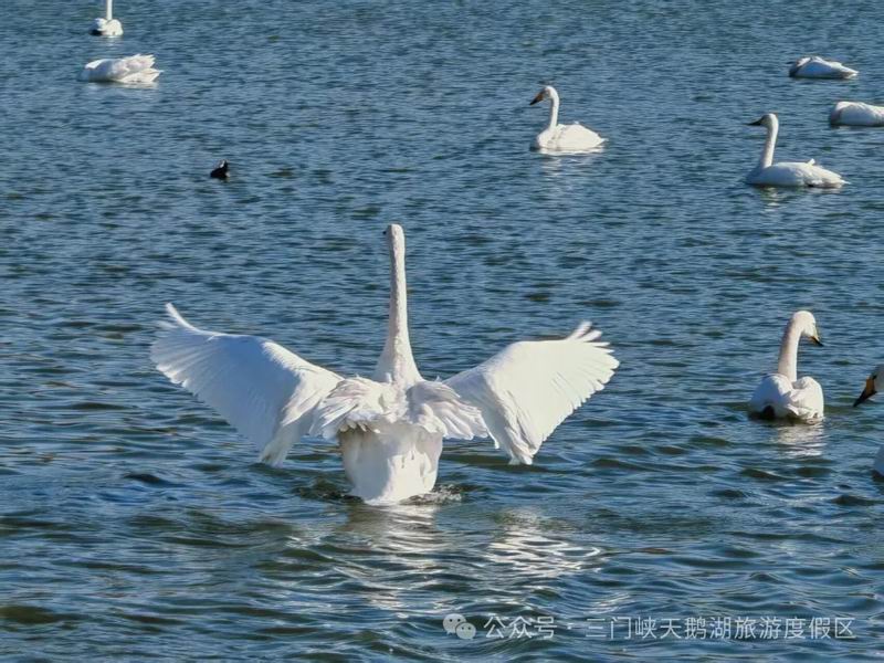 640_wx_fmt=jpeg&from=appmsg&watermark=1&tp=webp&wxfrom=5&wx_lazy=1 (5).jpg
