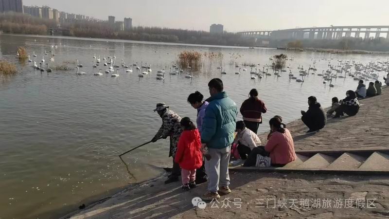 640_wx_fmt=jpeg&from=appmsg&watermark=1&tp=webp&wxfrom=5&wx_lazy=1 (10).jpg