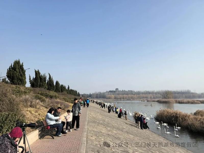 640_wx_fmt=jpeg&from=appmsg&watermark=1&tp=webp&wxfrom=5&wx_lazy=1 (16).jpg