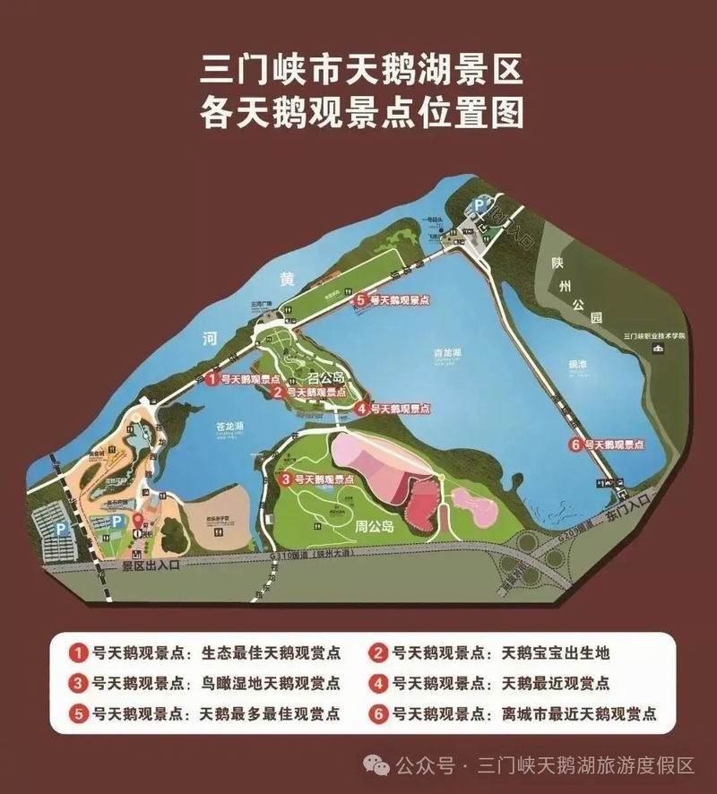 640_wx_fmt=jpeg&from=appmsg&watermark=1&tp=webp&wxfrom=5&wx_lazy=1 (32).jpg