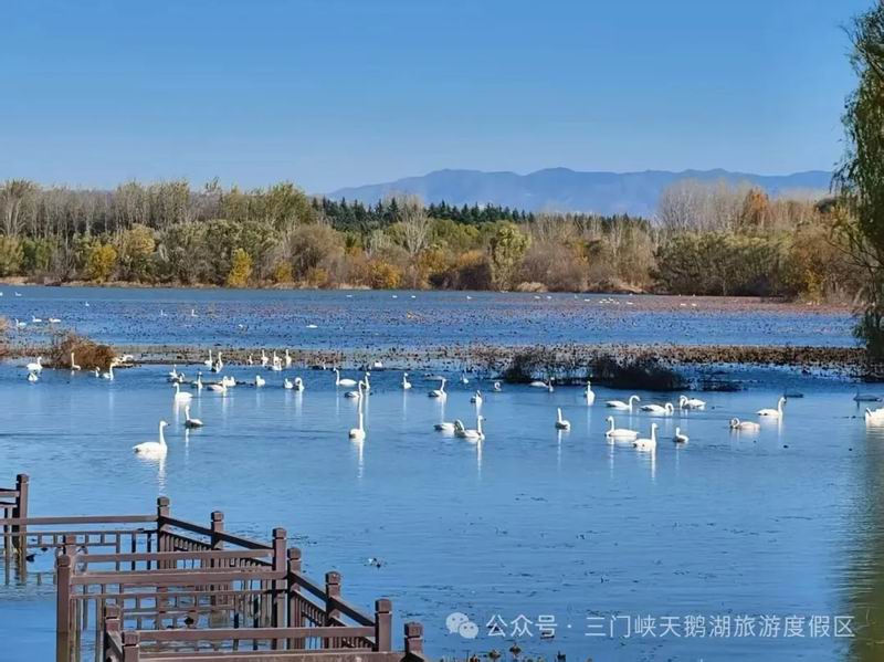640_wx_fmt=jpeg&from=appmsg&watermark=1&tp=webp&wxfrom=5&wx_lazy=1 (64).jpg