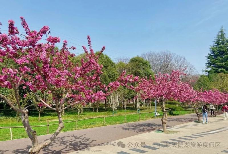 640_wx_fmt=jpeg&watermark=1&tp=webp&wxfrom=5&wx_lazy=1 (9).jpg
