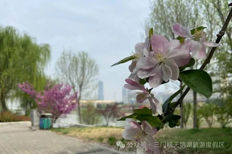 640_wx_fmt=jpeg&watermark=1&tp=webp&wxfrom=5&wx_lazy=1 (11).jpg