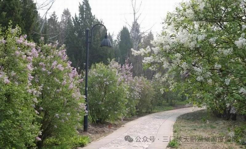640_wx_fmt=jpeg&watermark=1&tp=webp&wxfrom=5&wx_lazy=1 (14).jpg