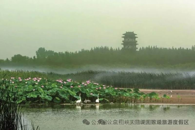 1785813858783604.jpg 640_wx_fmt=jpeg&from=appmsg&watermark=1&wxfrom=5&wx_lazy=1&tp=webp (9).jpg