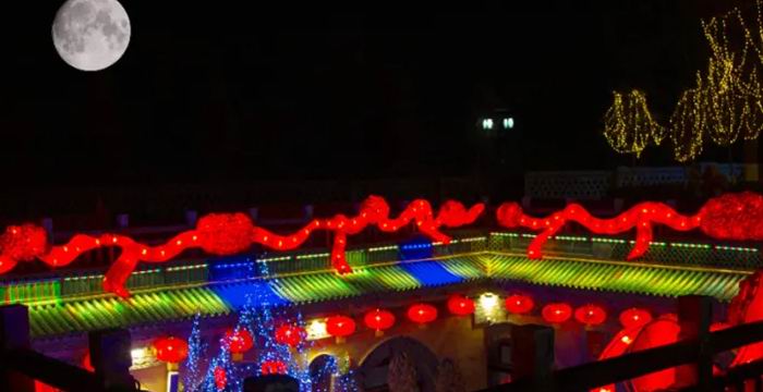 欢乐开怀 粽情一夏 | 陪伴家人，让爱不再等待！