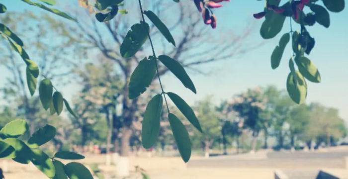 今日逢喜| 陕州地坑院，许你一个浪漫古典婚礼