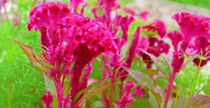 陕州地坑院丨献礼教师节 9月免费游