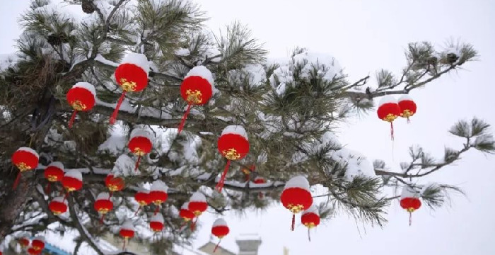 瑞雪兆丰年丨来这里体验雪中的浪漫