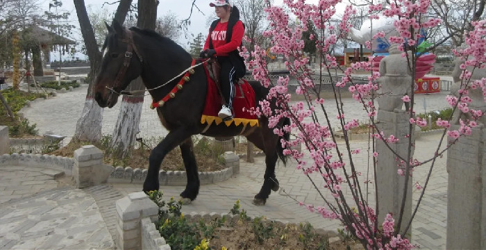 陕州地坑院 | 踏青赏春，约“惠”最美三月天