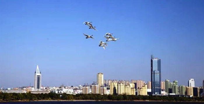 关于暂时关闭全市文化旅游场所和停办文化旅游活动的紧急通知