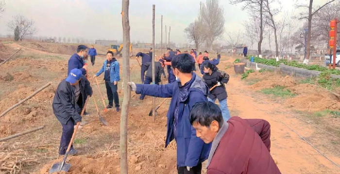 环境整治丨发扬“植树精神”，保持“中国绿”！