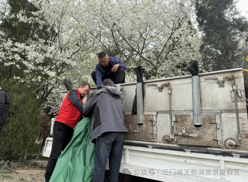 锦彩入湖 鲤跃新章