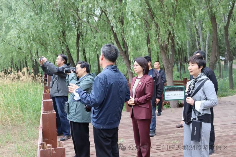 国内著名专家现场考察 助力三门峡
