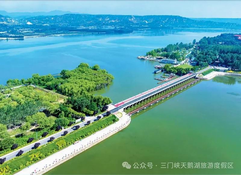来河南黄河边，清凉一“夏”吧！
