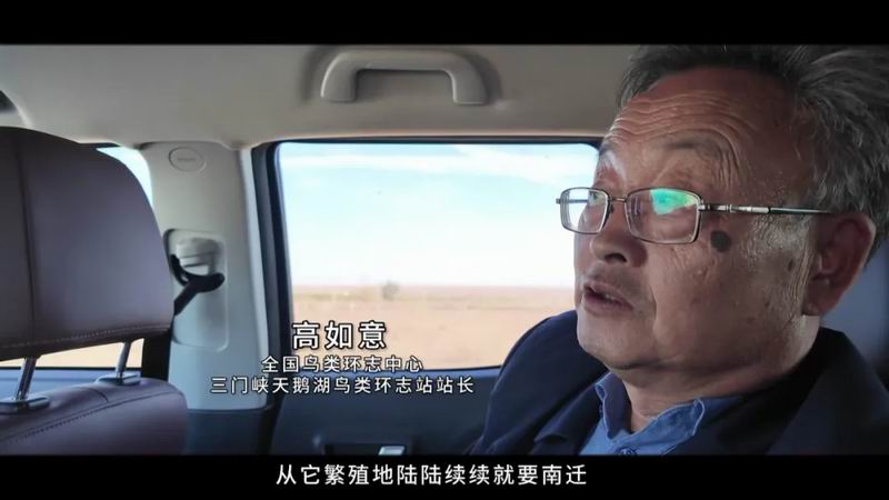 640_wx_fmt=png&from=appmsg&tp=webp&wxfrom=5&wx_lazy=1 (2)_副本.jpg