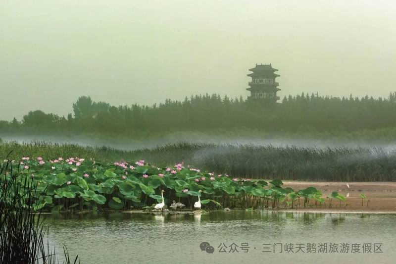 640_wx_fmt=jpeg&from=appmsg&watermark=1&tp=webp&wxfrom=5&wx_lazy=1 (12).jpg