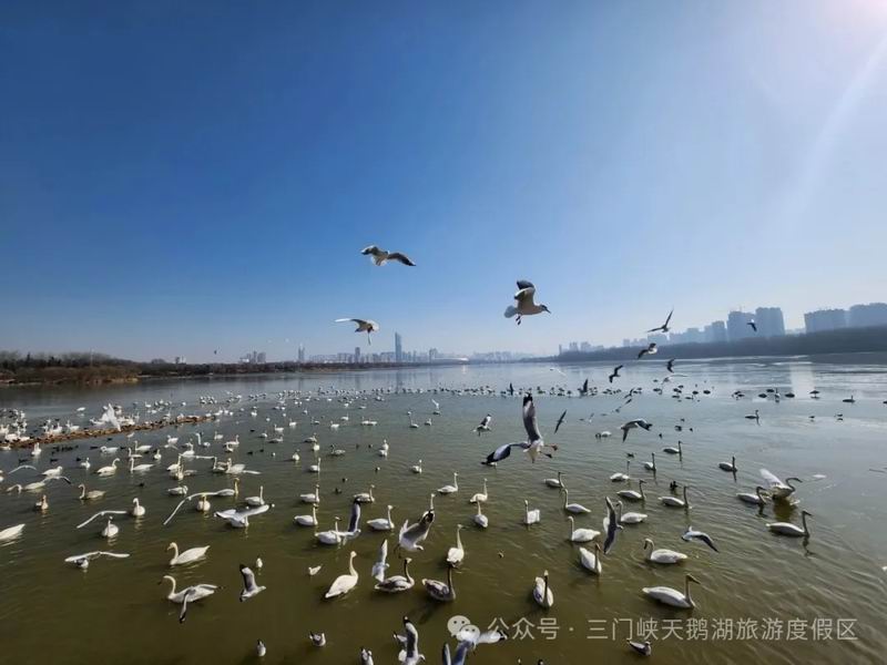 640_wx_fmt=jpeg&from=appmsg&watermark=1&wxfrom=5&wx_lazy=1&tp=webp (3).jpg