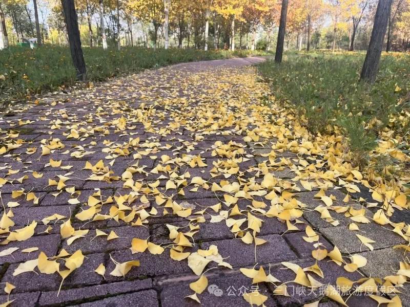 640_wx_fmt=jpeg&from=appmsg&watermark=1&tp=webp&wxfrom=5&wx_lazy=1 (4).jpg