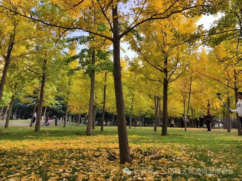 640_wx_fmt=jpeg&from=appmsg&watermark=1&tp=webp&wxfrom=5&wx_lazy=1 (5).jpg