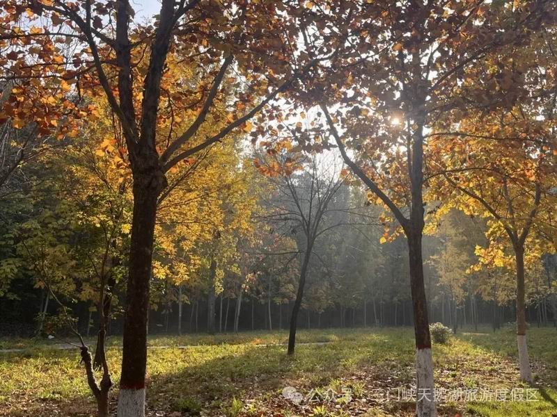 640_wx_fmt=jpeg&from=appmsg&watermark=1&tp=webp&wxfrom=5&wx_lazy=1 (6).jpg