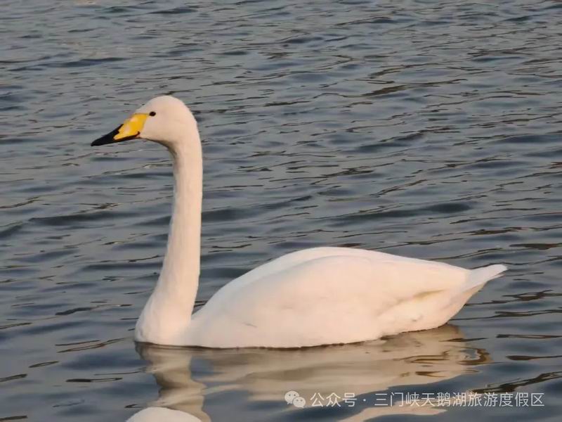 1762936910501992.jpg 640_wx_fmt=jpeg&from=appmsg&watermark=1&tp=webp&wxfrom=5&wx_lazy=1 (11).jpg