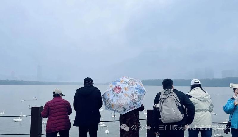 1762937081178395.jpg 640_wx_fmt=jpeg&from=appmsg&watermark=1&tp=webp&wxfrom=5&wx_lazy=1 (22).jpg