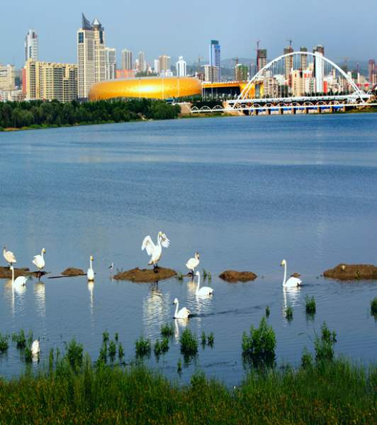 The establishment of the Sanmenxia Swan Lake Tourism Resort Management Committee and the establishment of the Swan Lake National Tourism Resort and 5A-level tourism scenic spot were held smoothly